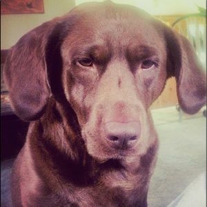 Meet your Posher, Elaine